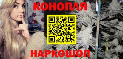 прущие крисы Гай