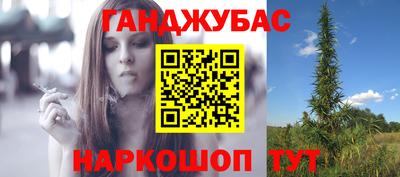прущие крисы Гай