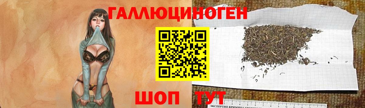 Псилоцибиновые грибы мухоморы Донецк